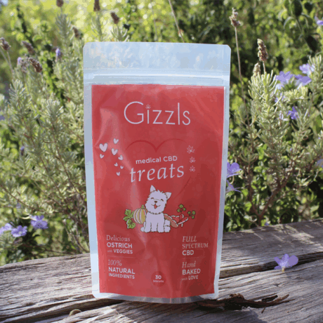 Gizzl’s Ostrich-3