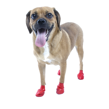 Pawz-boots-1
