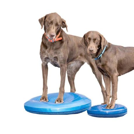 balanceaircushion1000x1000_1400x