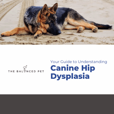 Canine HD